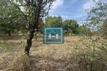 Plac, Jagodina, Deonica, prodaja, 0m2, 7500e, id1423342