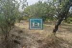 Plac, Jagodina, Deonica, prodaja, 0m2, 7500e, id1423342