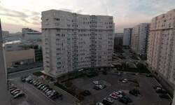 Dvosoban stan, Beograd, Blok 67 - Belville, izdavanje, 50m2, 650e, id1444493