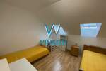 Dvosoban stan, Novi Sad, Liman I, izdavanje, 50m2, 400e, id1395458