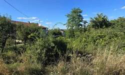 Plac, Inđija, prodaja, 6100m2, 60000e, id1445502