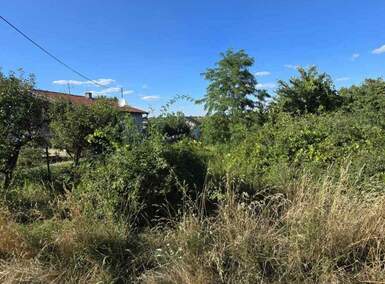Plac, Inđija, prodaja, 6100m2, 60000e, id1445502