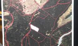 Plac, Tara, prodaja, 2615m2, 60000e, id1446095