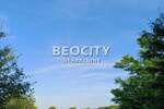 Plac, Bela Crkva, Bela Crkva, prodaja, 3000m2, 30000e, id1446144