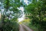 Plac, Bela Crkva, Bela Crkva, prodaja, 3000m2, 30000e, id1446144