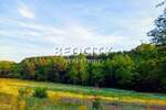 Plac, Bela Crkva, Bela Crkva, prodaja, 3000m2, 30000e, id1446144