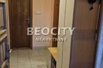 Kuca, Novi Sad, izdavanje, 60m2, 350e, id1446369