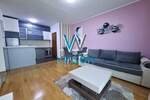 Jednoiposoban stan, Novi Sad, Centar, izdavanje, 52m2, 500e, id1446152