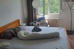 Dvosoban stan, Beograd, Blok 63, izdavanje, 65m2, 600e, id1421889