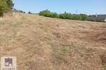 Plac, Beograd, Barič, prodaja, 0m2, 58000e, id1446687
