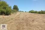Plac, Beograd, Barič, prodaja, 0m2, 58000e, id1446687