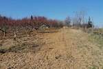 Plac, Beograd, Dubona, prodaja, 0m2, 88000e, id1334035