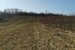 Plac, Beograd, Dubona, prodaja, 0m2, 88000e, id1334035