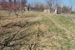 Plac, Beograd, Dubona, prodaja, 0m2, 88000e, id1334035