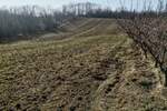 Plac, Beograd, Dubona, prodaja, 0m2, 88000e, id1334035