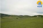 Plac, Zlatibor, Rudine, prodaja, 0m2, 3325000e, id1231309