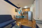 Jednoiposoban stan, Novi Sad, Centar, izdavanje, 42m2, 500e, id1341859