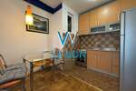 Jednoiposoban stan, Novi Sad, Centar, izdavanje, 42m2, 500e, id1341859