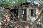 Kuca, Boljevac, Ilino, prodaja, 45m2, 38000e, id1261890