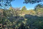Kuca, Boljevac, Ilino, prodaja, 45m2, 38000e, id1261890