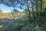 Kuca, Boljevac, Ilino, prodaja, 45m2, 38000e, id1261890