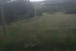 Plac, Beograd, Babe, prodaja, 0m2, 39000e, id1241680