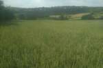 Plac, Beograd, Babe, prodaja, 0m2, 39000e, id1241680