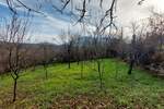 Stan, Boljevac, Jablanica, prodaja, 0m2, 8500e, id1288636