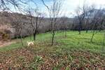 Stan, Boljevac, Jablanica, prodaja, 0m2, 8500e, id1288636
