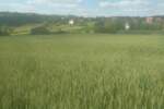 Plac, Beograd, Babe, prodaja, 0m2, 90000e, id1241677