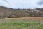 Plac, Boljevac, Dobro polje, prodaja, 0m2, 10000e, id1190560