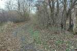 Plac, Boljevac, Mirovo, prodaja, 0m2, 6000e, id1081364