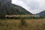 Plac, Boljevac, Jablanica, prodaja, 0m2, 6000e, id796365