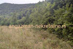 Plac, Boljevac, Jablanica, prodaja, 0m2, 6000e, id796365