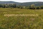 Plac, Boljevac, Rujište, prodaja, 0m2, 4000e, id793176