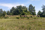 Plac, Boljevac, Rujište, prodaja, 0m2, 4000e, id793176