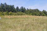 Plac, Boljevac, Rujište, prodaja, 0m2, 4000e, id793176
