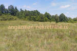 Plac, Boljevac, Rujište, prodaja, 0m2, 4000e, id793176