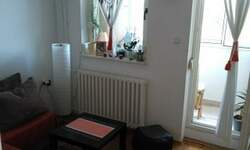 Garsonjera, Novi Sad, Salajka, izdavanje, 19m2, 230e, id1447759