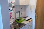 Garsonjera, Novi Sad, Salajka, izdavanje, 19m2, 230e, id1447759