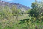 Plac, Zaječar, Lasovo, prodaja, 0m2, 14000e, id1162243