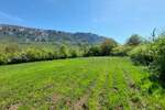 Plac, Zaječar, Lasovo, prodaja, 0m2, 14000e, id1162243