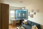 Jednoiposoban stan, Beograd, Cvetkova pijaca , izdavanje, 30m2, 560e, id1447765