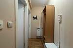 Jednoiposoban stan, Beograd, Lekino Brdo, izdavanje, 30m2, 500e, id1447825
