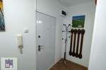 Dvoiposoban stan, Beograd, izdavanje, 62m2, 350e, id1447844