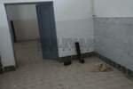 Poslovni prostor / Lokal, Niš, Donje Medjurovo, prodaja, 1311m2, 300000e, id1447943
