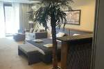 Jednoiposoban stan, Beograd, Dedinje, izdavanje, 55m2, 950e, id1448039