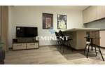 Jednosoban stan, Beograd, Lekino Brdo, izdavanje, 30m2, 450e, id873663