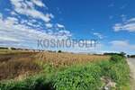 Plac, Beograd, Ugrinovci, prodaja, 17300m2, 1850000e, id1448137