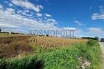 Plac, Beograd, Ugrinovci, prodaja, 17300m2, 1850000e, id1448137
